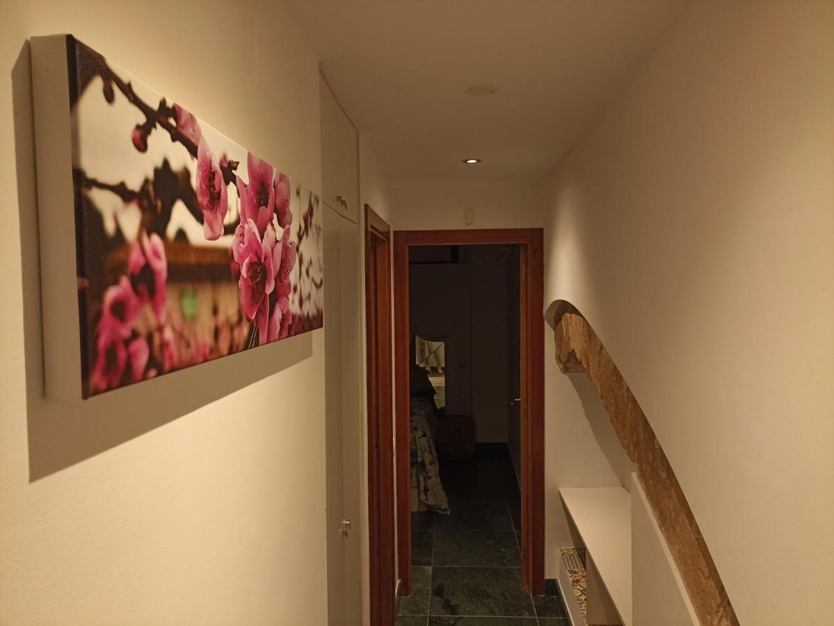 Apartament Piso Encantador En El Centro De *